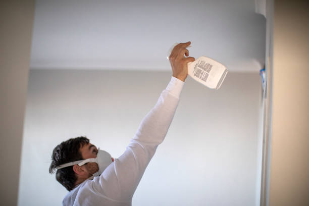 Professional Mold Remediation in Bryson City, NC